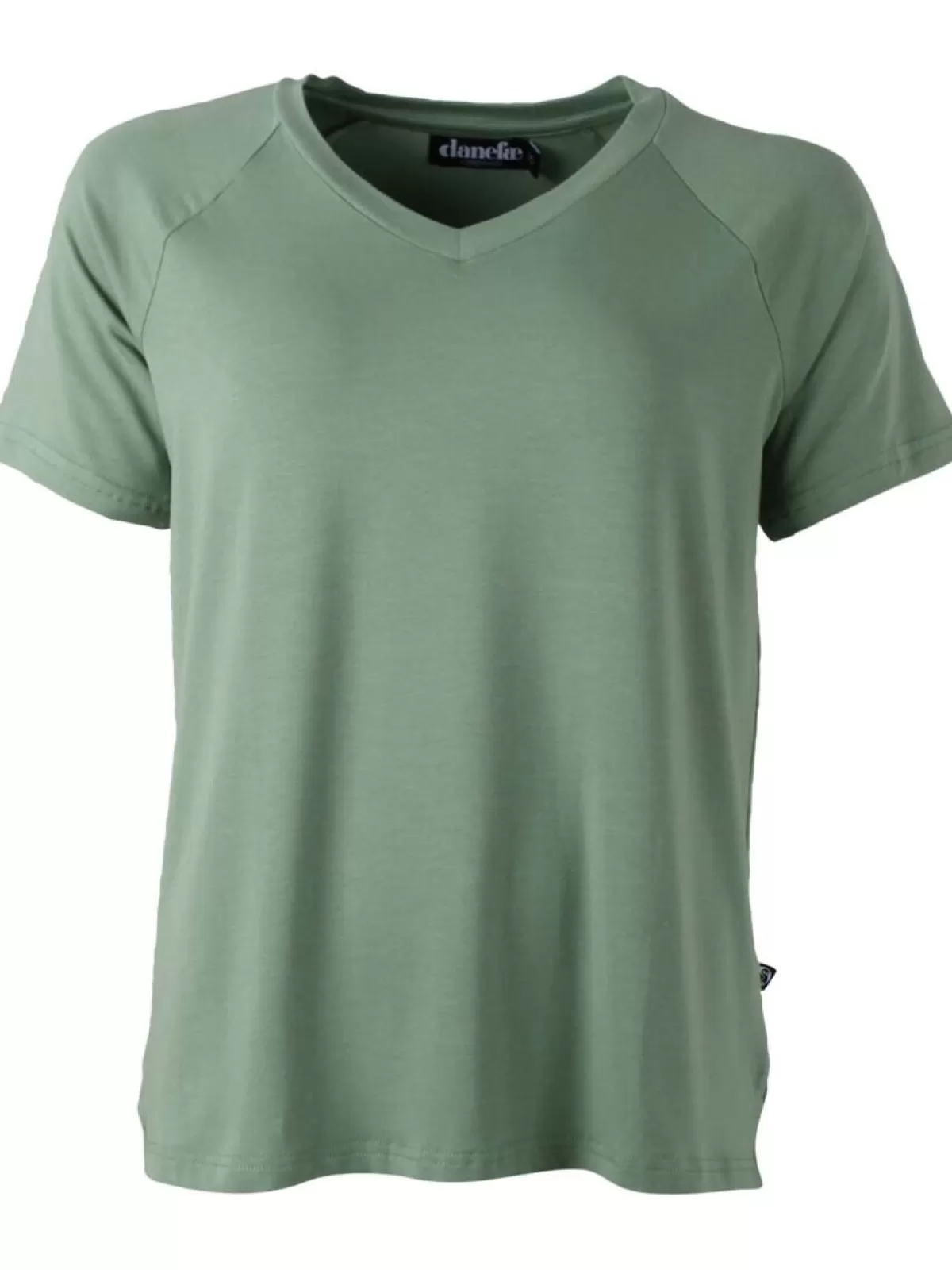 Maglietta Fitness Salvia Dry - T-Shirt Sportiva Comoda Danefæ Ess [Prezzo Imbattibile]